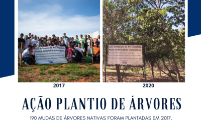 Plantio de árvores nativas 2017 x 2020